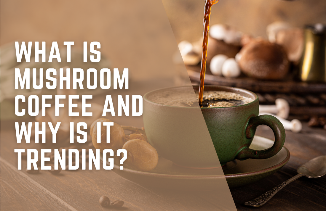 What Is Mushroom Coffee and Why Is It Trending?