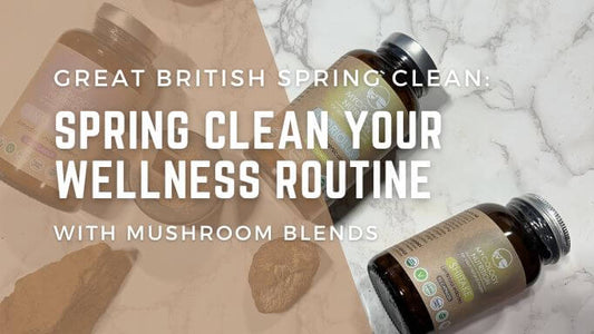 Spring clean your wellness routine with mushroom blends - Mycology Nutrition