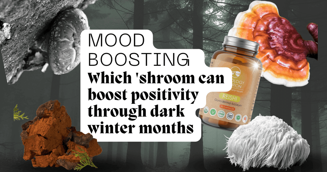 Mood boosting: Which mushroom can boost positivity through dark winter months?