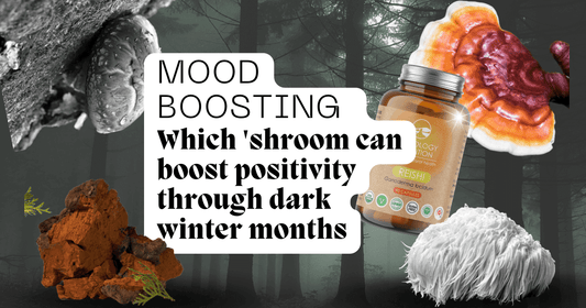 Mood boosting: Which mushroom can boost positivity through dark winter months?