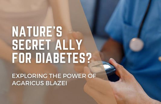 Nature’s Secret Ally for Diabetes? Exploring the Power of Agaricus Blazei