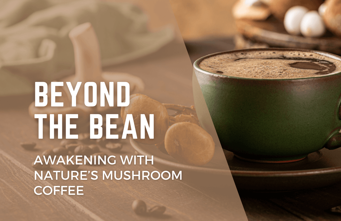 Beyond the Bean: Awakening with Nature’s Mushroom Coffee