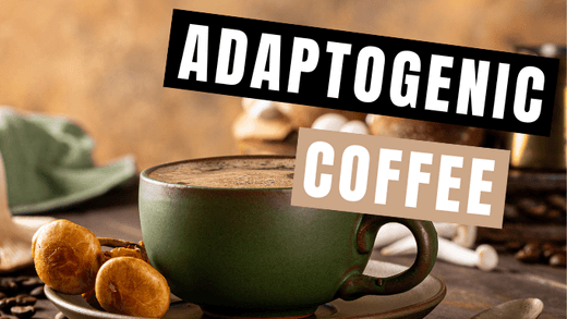 Adaptogenic Coffee - Mycology Nutrition