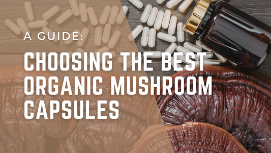 Choosing the Best Organic Mushroom Capsules