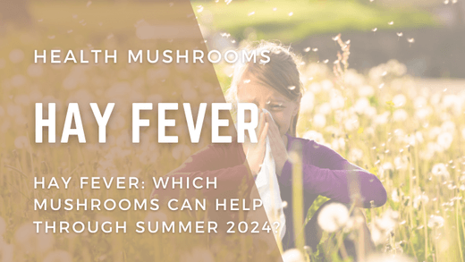 Hay Fever - which mushrooms can help through summer 2024?