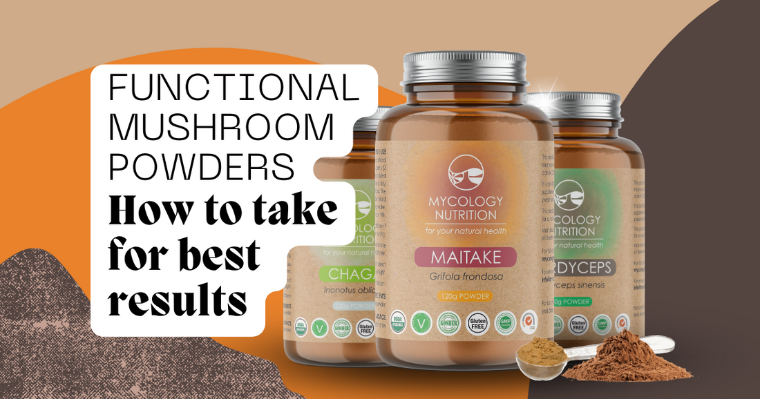 Functional Mushroom Powders: How To Take For Best Results