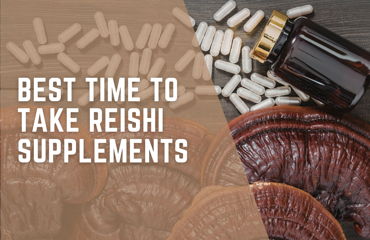 Best Time to Take Reishi Supplements