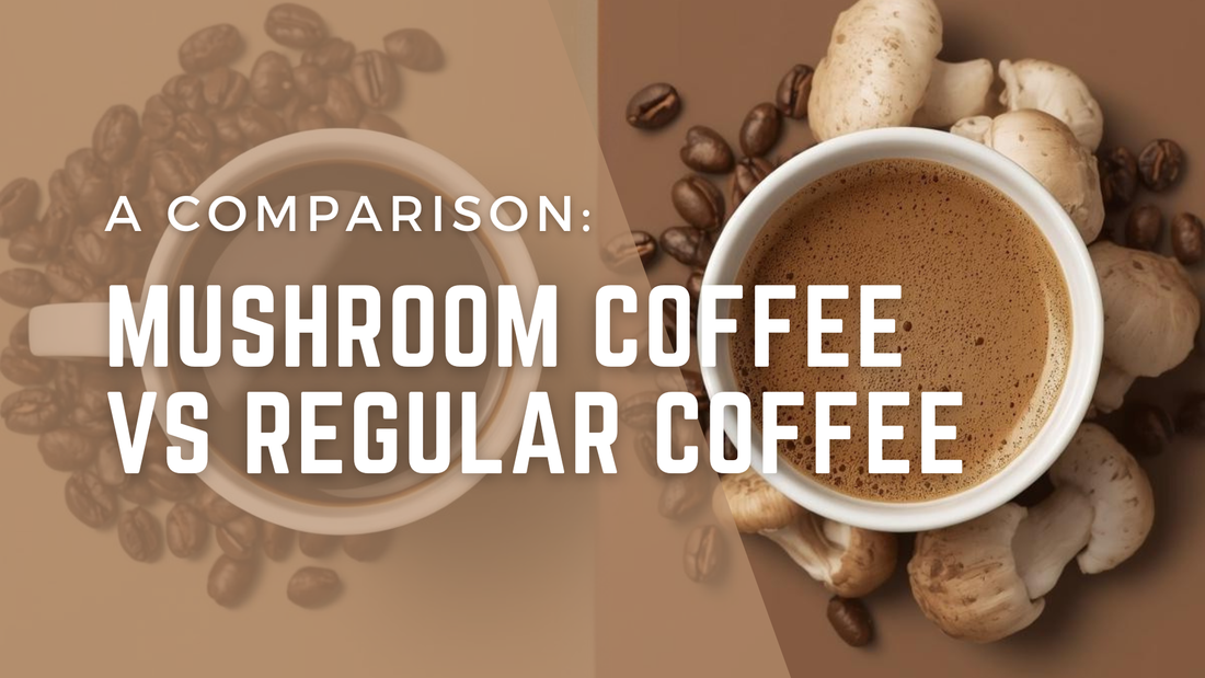 Mushroom Coffee vs Regular Coffee Comparison