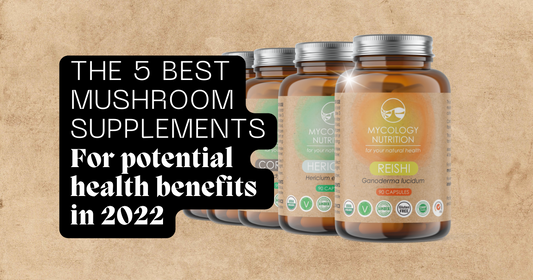 5 of the best mushroom supplements for potential health benefits in 2022
