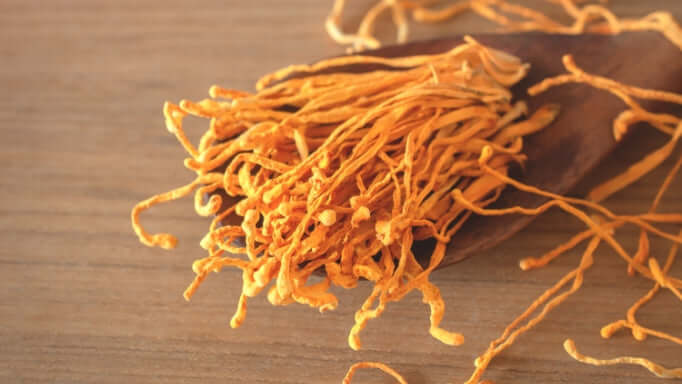 Cordyceps mushroom supplements for stamina