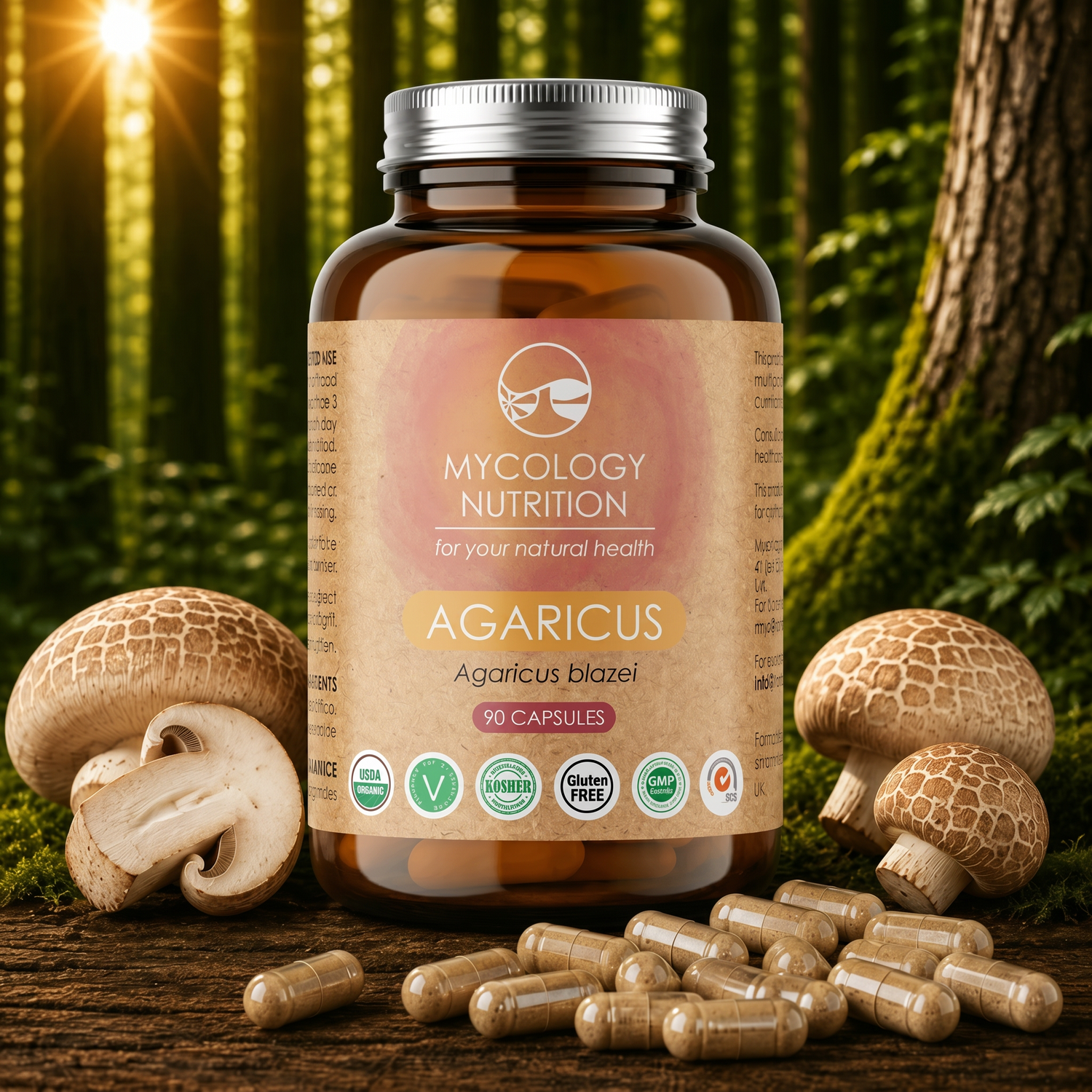 Agaricus Mushroom Capsules · Daily Wellness · 90 Capsules