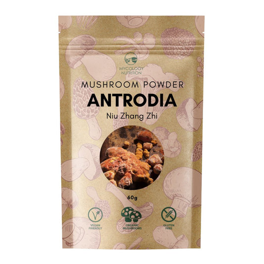 Antrodia Mushroom (Niu Zhang Zhi 牛樟芝) Powder (60g)
