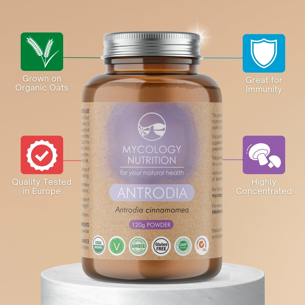 Antrodia Mushroom Powder | Niu Zhang Zhi | Liver Support | Boost Immunity | Anti-Inflammatory | Highly Concentrated Supplement | 120g