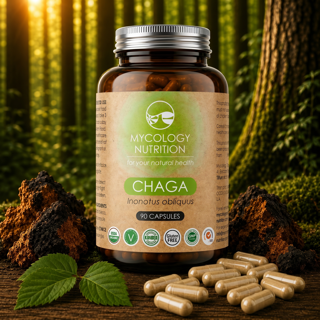 Chaga Mushroom Capsules · Immune Support · 90 Capsules