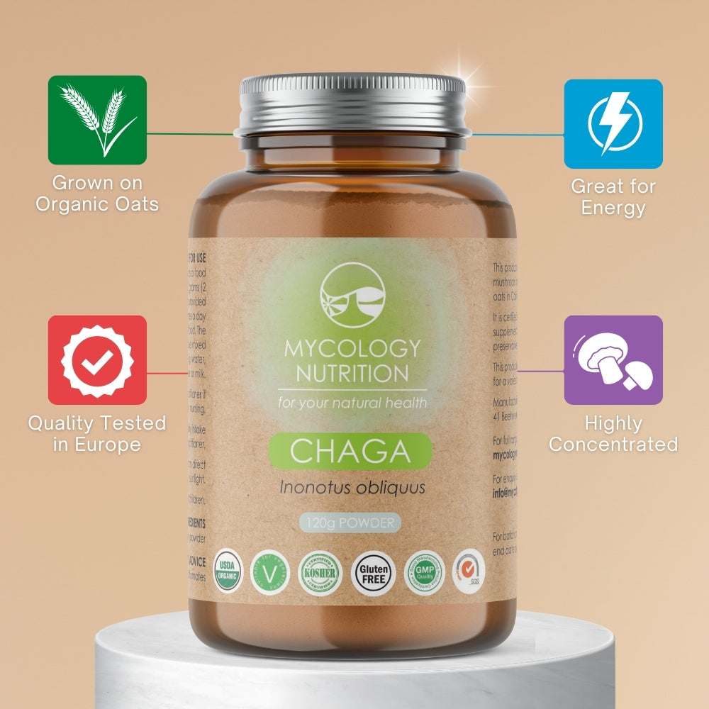 Chaga Mushroom Powder | Bai Hua Rong | Immune Support | Aid Digestion | Boost Energy & Vitality | Highly Concentrated Supplement | 120g