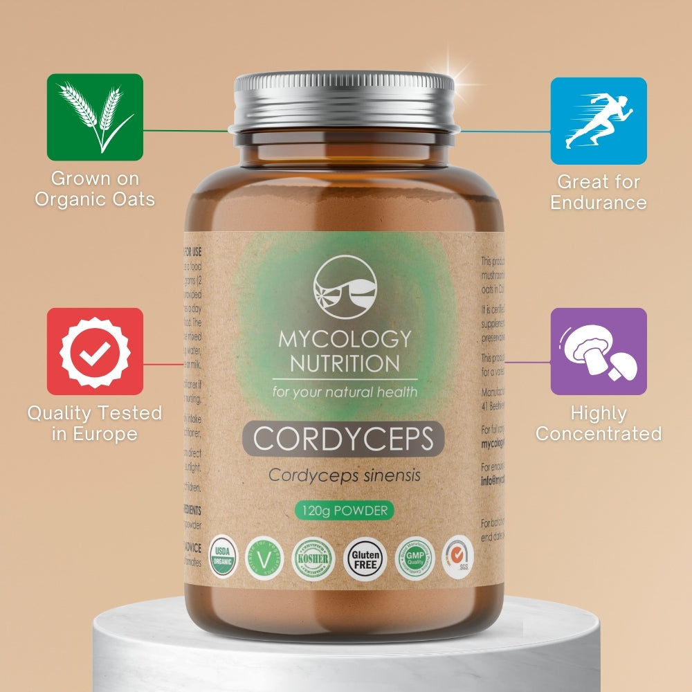 Cordyceps Mushroom Powder | Dong Chong Xia Cao | Enhance Energy | Boost Immunity | Respiratory Support | Anti-Aging | Highly Concentrated Supplement | 120g