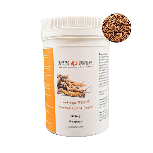 cordyceps mushroom capsules