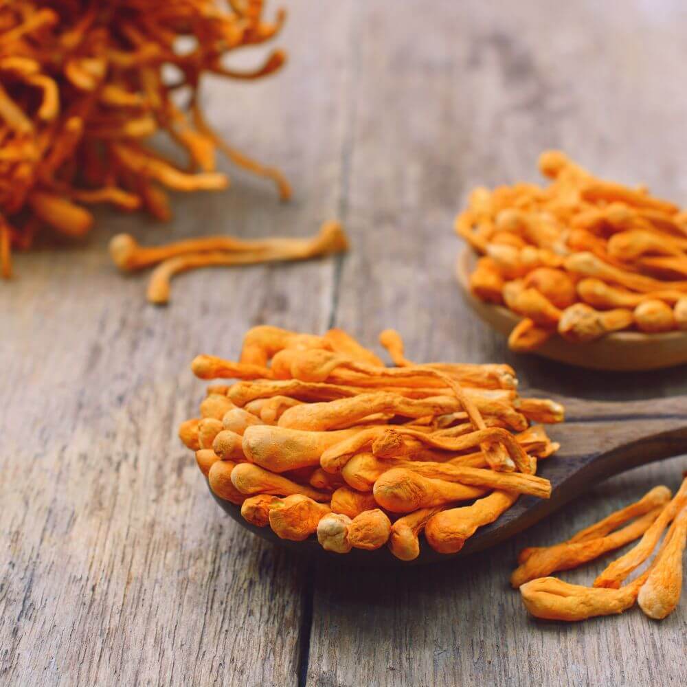 Organic Cordyceps Mushroom Capsules | 60 Capsules