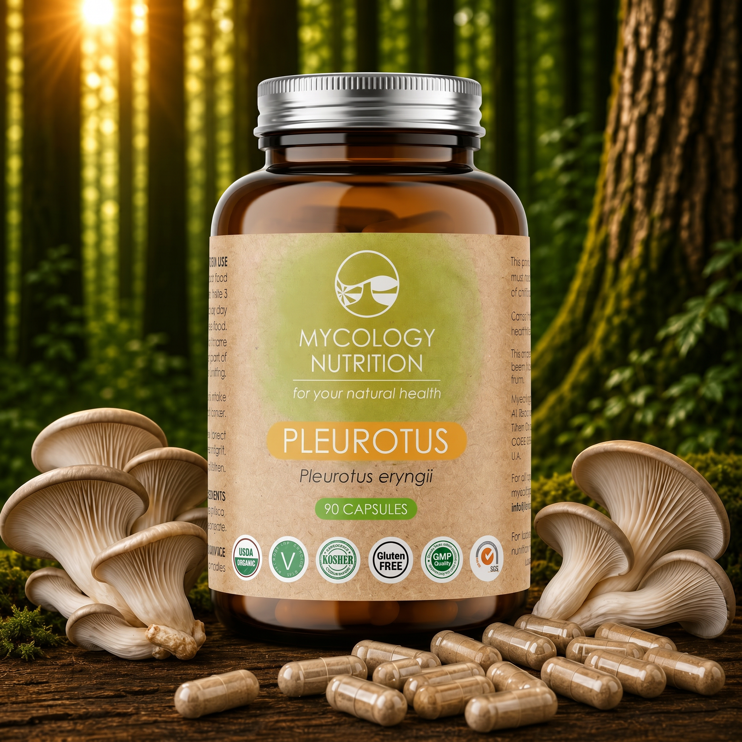 Oyster Mushroom Capsules · Daily Wellness · 90 Capsules