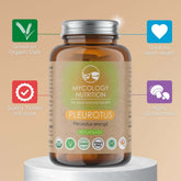 Oyster Mushrooms - highly concentrated, quality tested in Europe and grown on organic oats