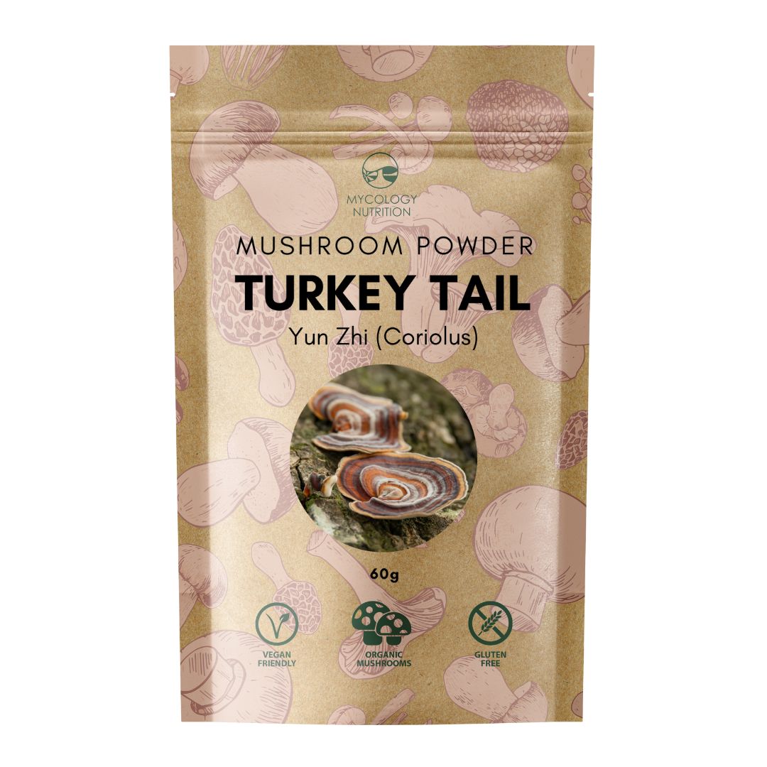 Turkey Tail Mushroom (Coriolus/Yun Zhi 云芝) Powder (60g)