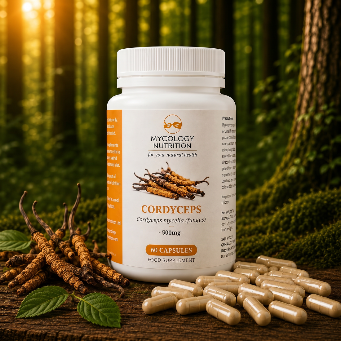 Cordyceps Mushroom Capsules · Energy &amp; Endurance · 60 Capsules