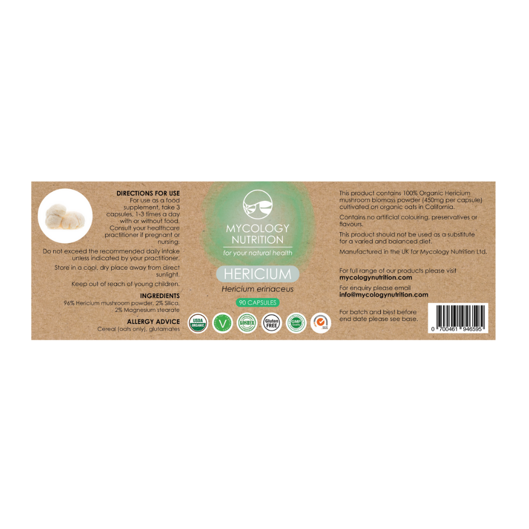 Dried Lion's Mane Mushroom (Hericium Hou Tou Gu) – a highly valued functional mushroom